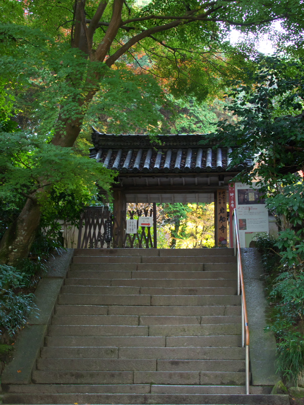 c0043403_21474483.jpg