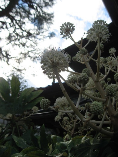 c0062511_20522079.jpg