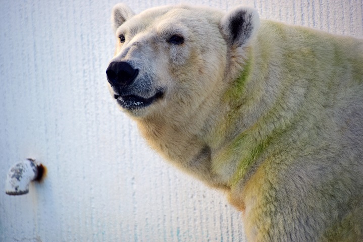 a0151913_16365667.jpg