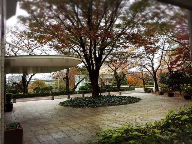 a0136626_16300789.jpg
