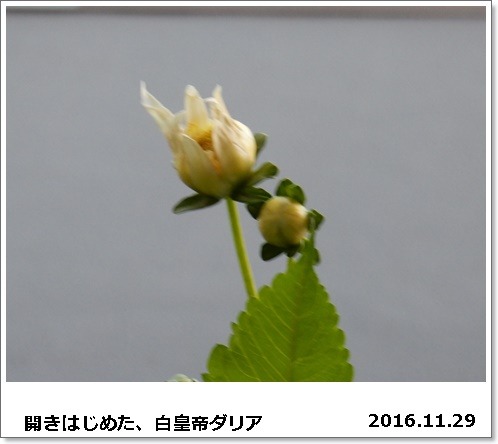 e0033229_1932452.jpg
