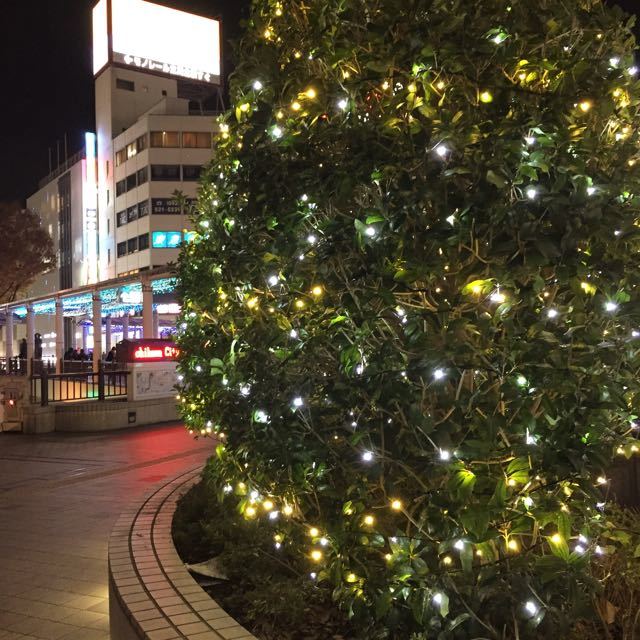 c0220337_17091740.jpg