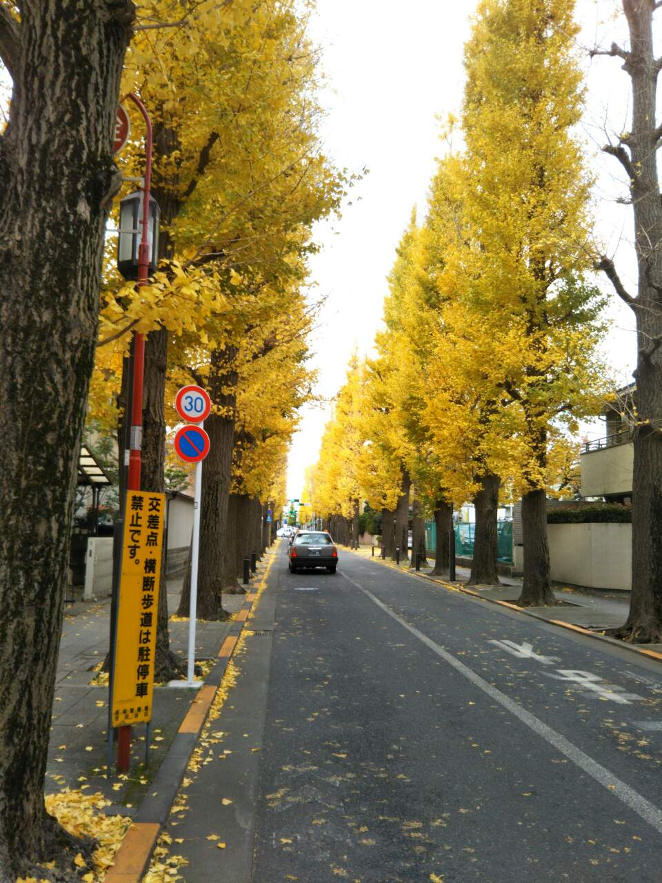 b0031140_121859.jpg