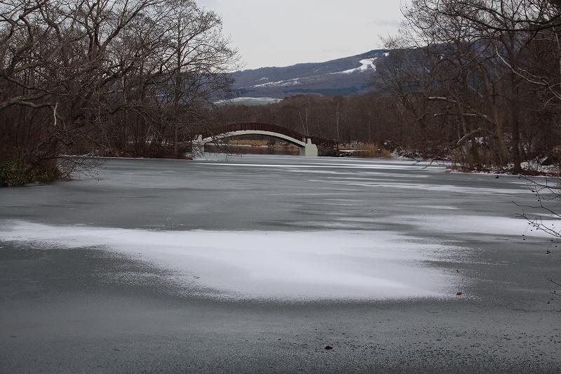 b0250154_00233213.jpg
