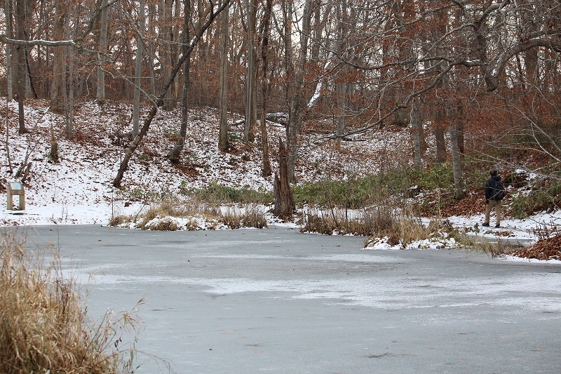 b0250154_21301767.jpg
