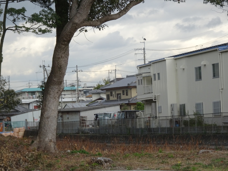 c0108460_17182473.jpg
