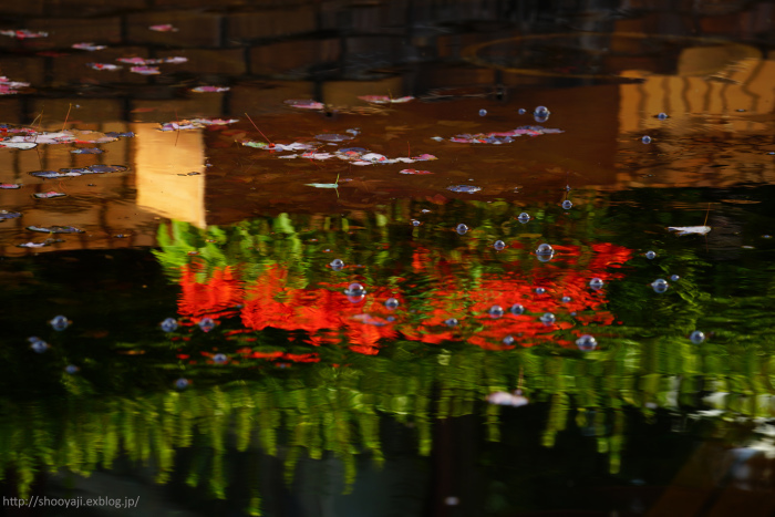 a0333661_22222000.jpg