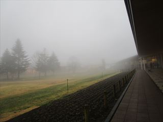 d0045362_1085286.jpg
