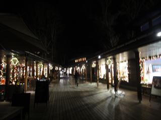 d0045362_1091950.jpg
