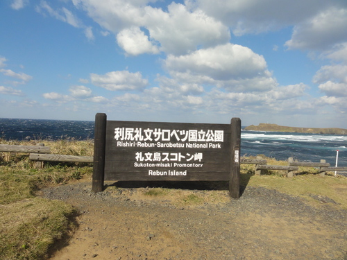 d0029363_23122237.jpg