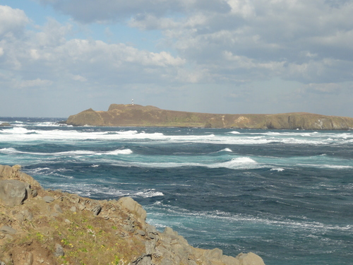 d0029363_23133615.jpg
