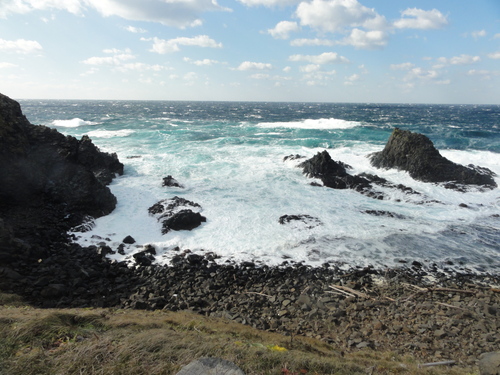 d0029363_231581.jpg