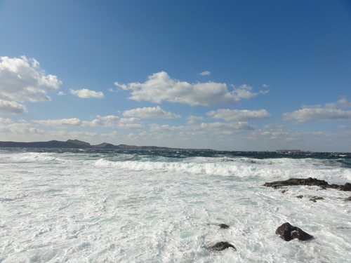 d0029363_23165891.jpg