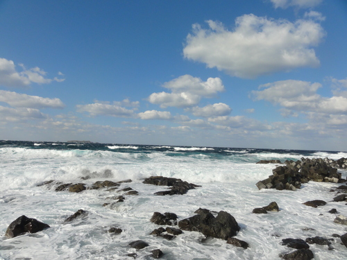 d0029363_2317873.jpg