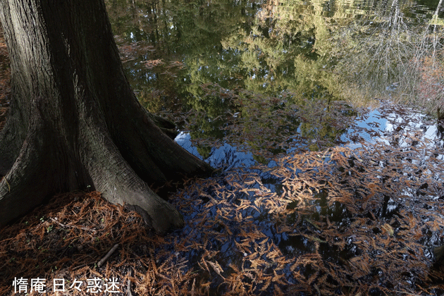 e0346064_18283250.gif