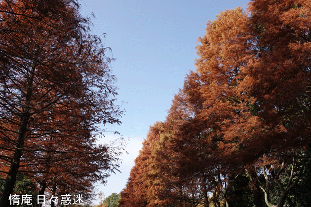 e0346064_18283365.gif