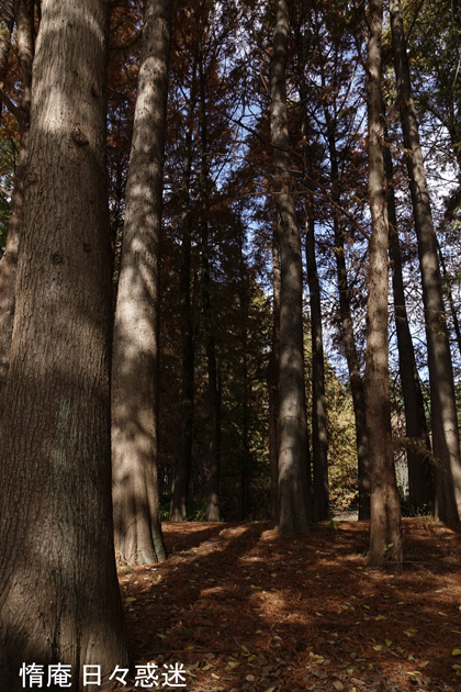 e0346064_18283423.gif