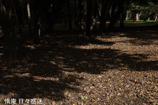 e0346064_18283499.gif