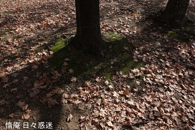 e0346064_18283555.gif
