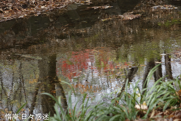 e0346064_18283573.gif