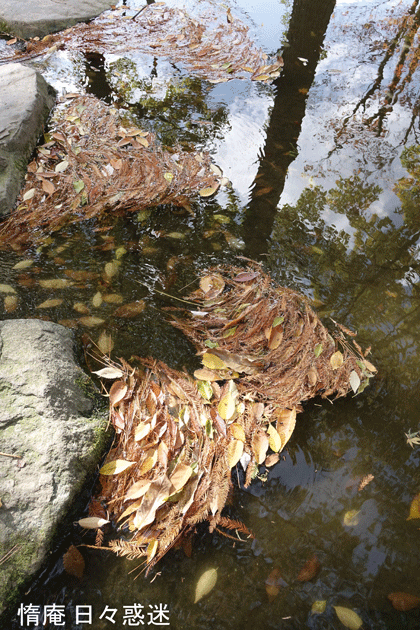 e0346064_18283628.gif