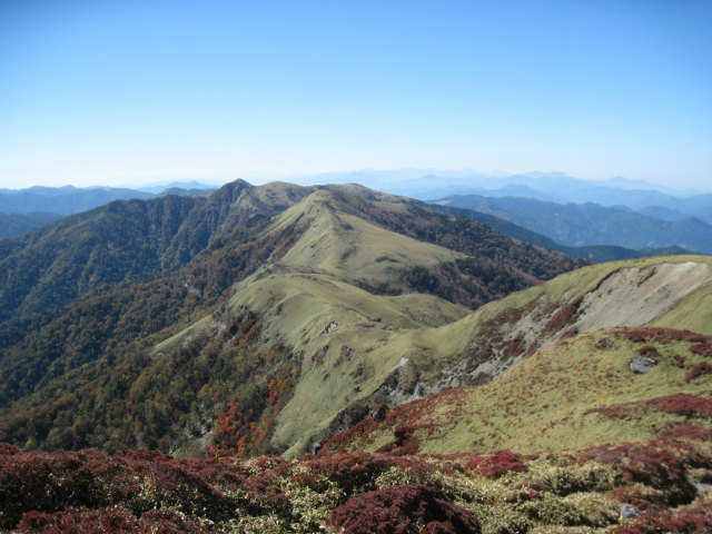 c0219866_1541754.jpg