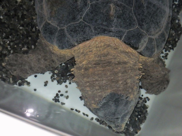 c0105569_0483781.jpg