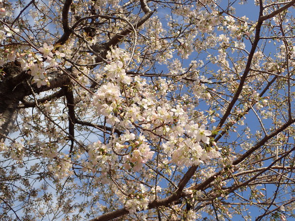 c0286574_15308.jpg