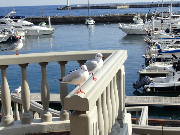 c0286574_1551715.jpg