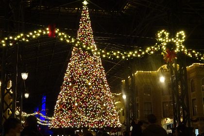 e0303974_1423588.jpg