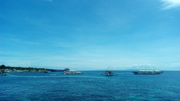 a0109187_14235518.jpg