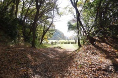 d0183387_17243692.jpg