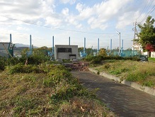 d0183387_22551278.jpg