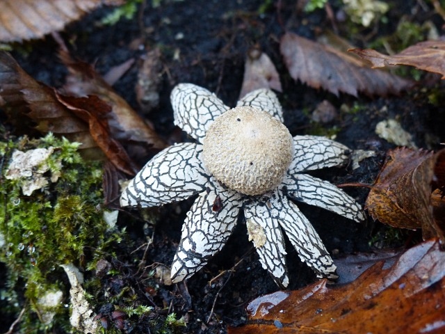 f0357487_2323683.jpg