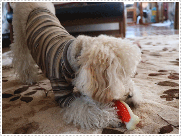 b0175688_19514612.gif