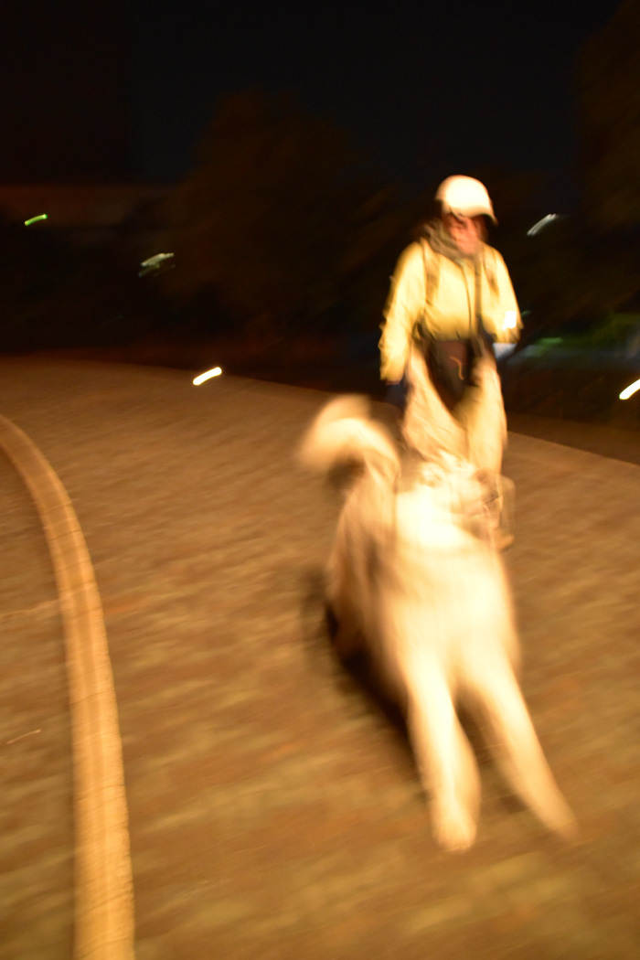 c0049299_23072689.jpg