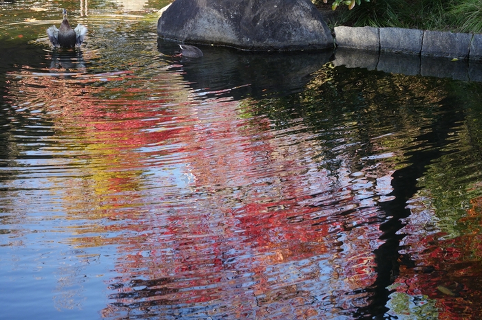 f0224100_1331924.jpg