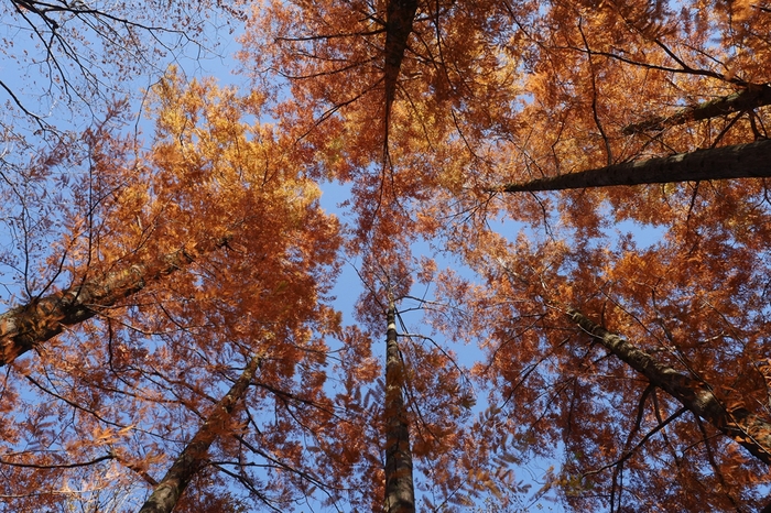 f0224100_13324099.jpg
