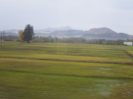 c0212604_633851.jpg