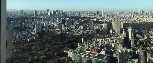 f0231309_85456.jpg