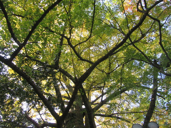f0231709_225102.jpg