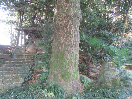 f0231709_2254478.jpg