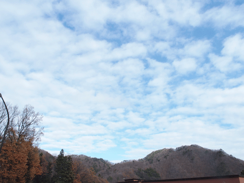 e0312121_0354051.gif