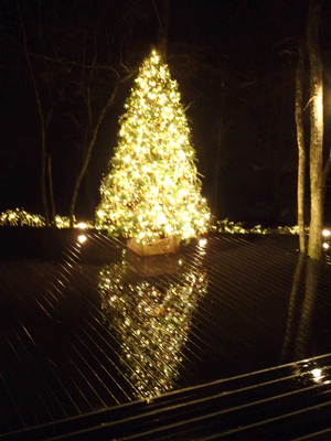 e0312121_1854120.gif