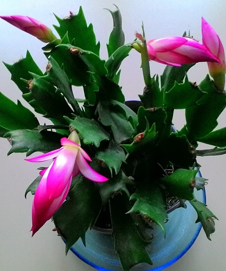 c0188229_12145990.jpg