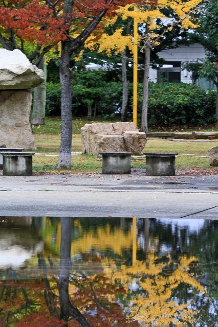 a0242438_20381185.jpg