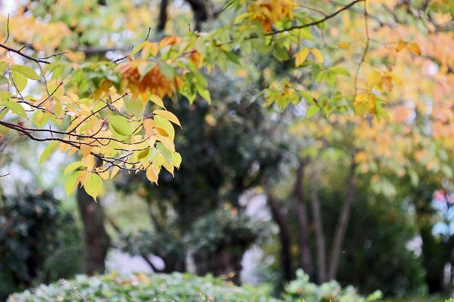 a0242438_20392715.jpg