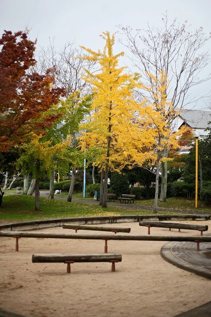 a0242438_20392758.jpg