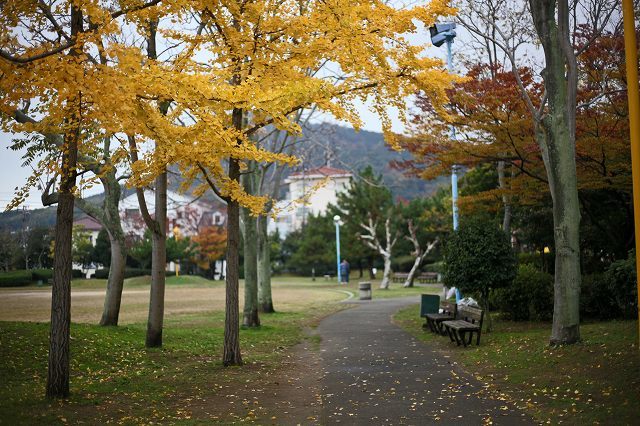 a0242438_20404115.jpg