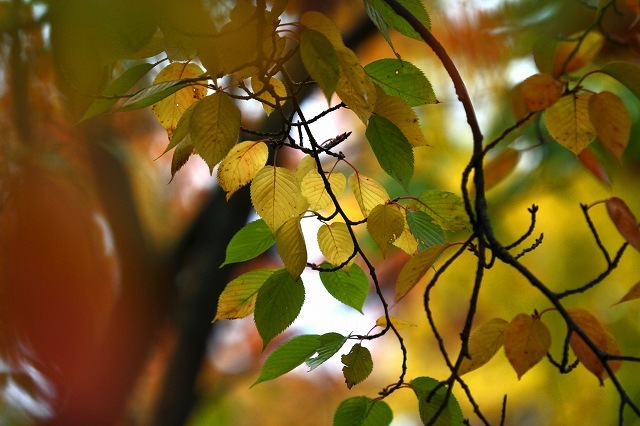 a0242438_20404168.jpg